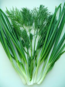 Sheaf Of Green Dill And Onion Royalty Free Stock Photography