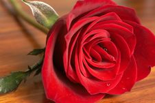 Dark Red Rose On Wooden Table Stock Photos