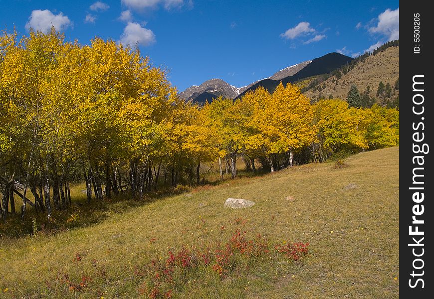 Horseshoe Park on the way to Endovalley picnic area - Rocky Mountain National Park. Horseshoe Park on the way to Endovalley picnic area - Rocky Mountain National Park