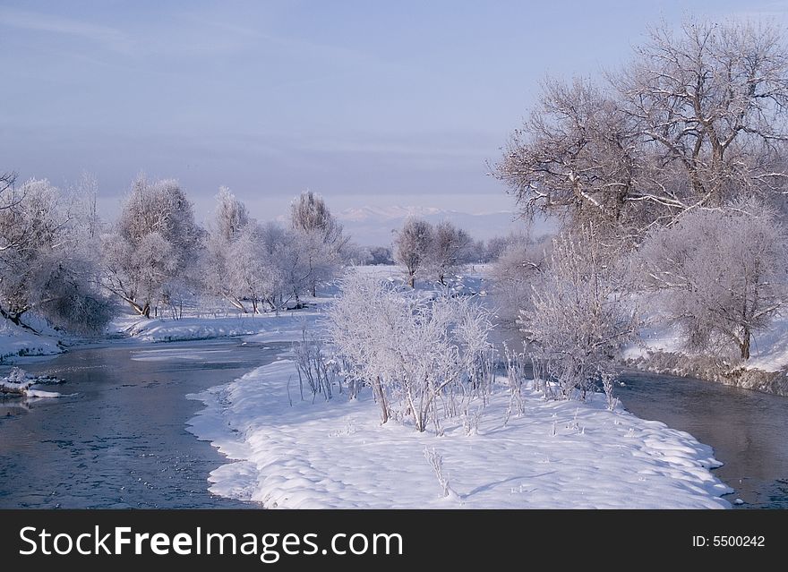 Poudre River Winter