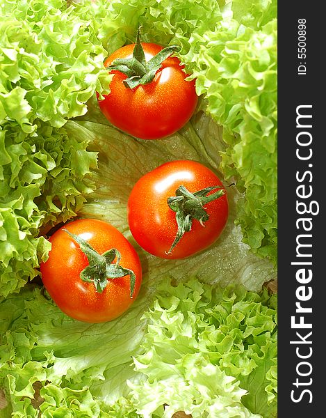 Fresh salad with tomatoes