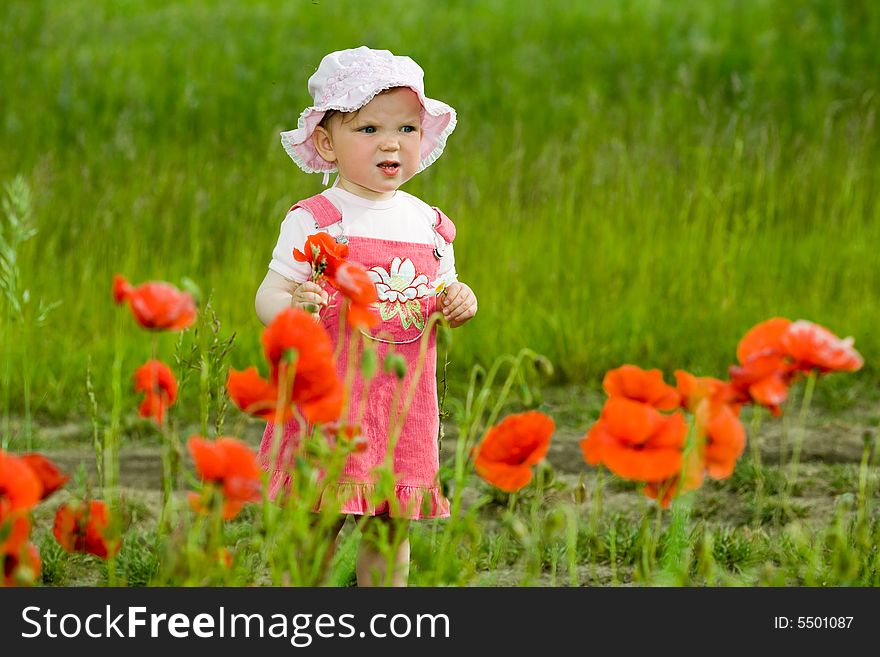 An image of baby amongst field with flowers. An image of baby amongst field with flowers