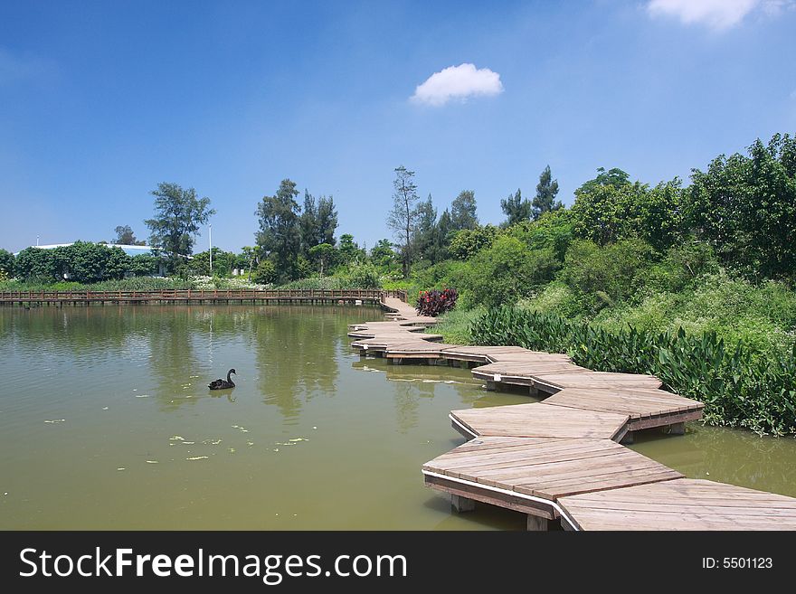 Wood Path On Water