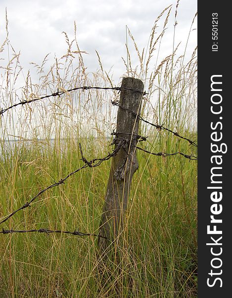 Fence in the grass. Old. Near Kiev. Fence in the grass. Old. Near Kiev