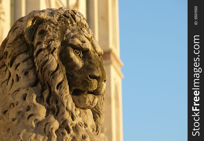 A shot of a beautiful statue of a lion in S.Croce square