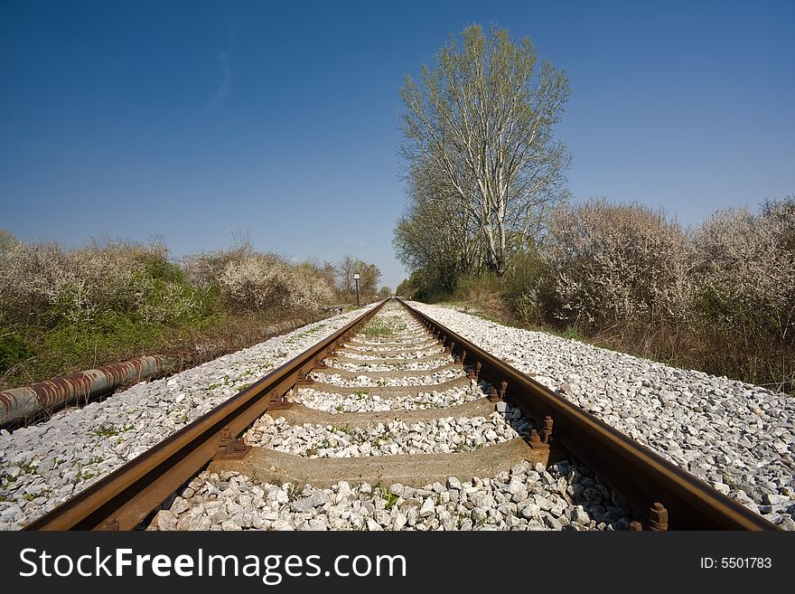 Railroad tracks vanishing into horizon