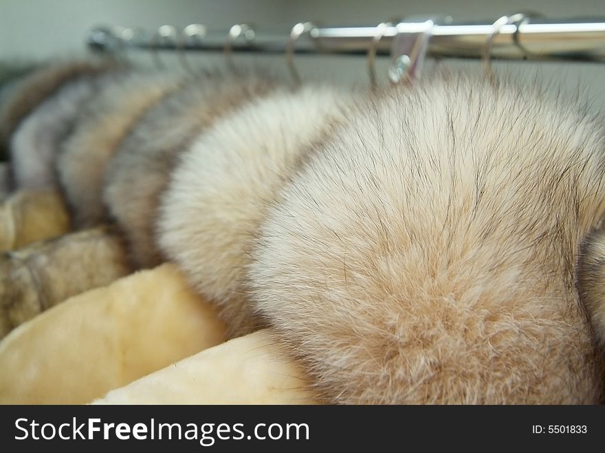 White collar from natural fur. White collar from natural fur