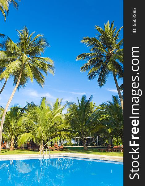 Pool on the tropical resort. Pool on the tropical resort