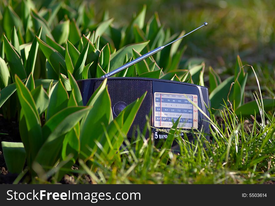 Receiver in the grass at summer