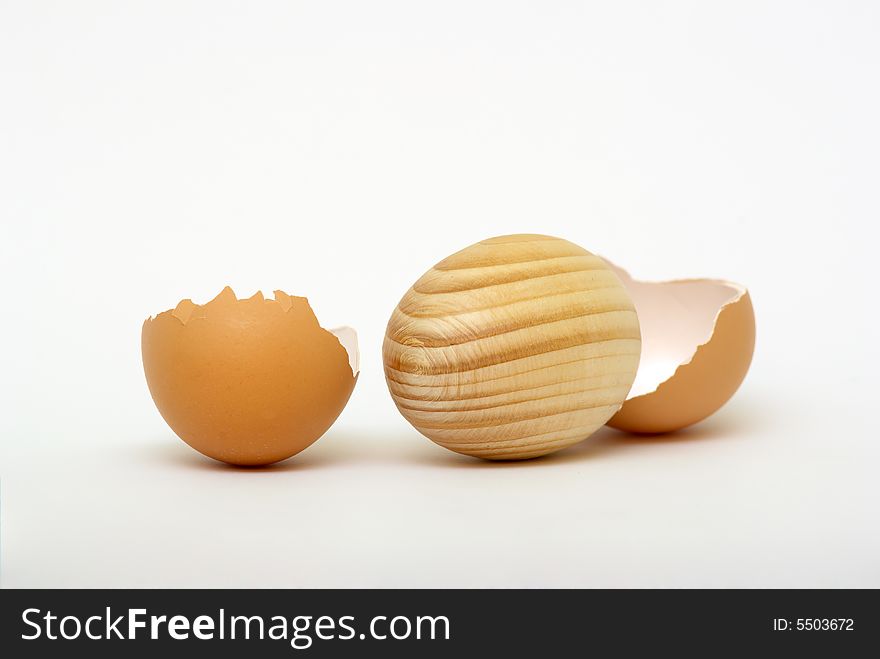 Egg-shell on white background