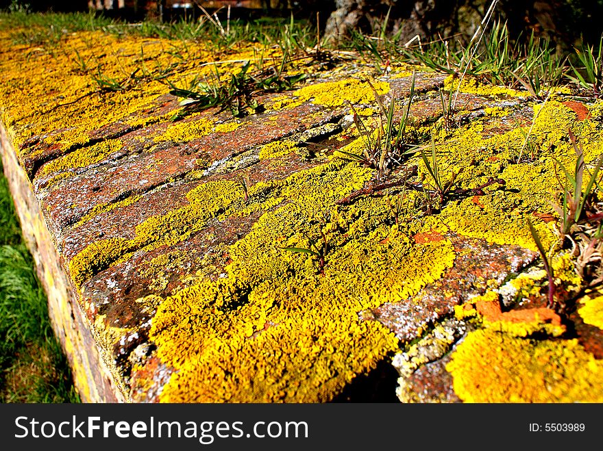 A stonewall with yellow moss around a 	cemetery in a small village