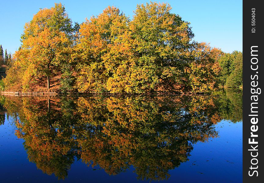 Trees on small island reflect in calm blue water. Trees on small island reflect in calm blue water