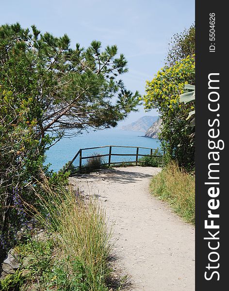 A path with vegetation and flowers to the sea. A path with vegetation and flowers to the sea