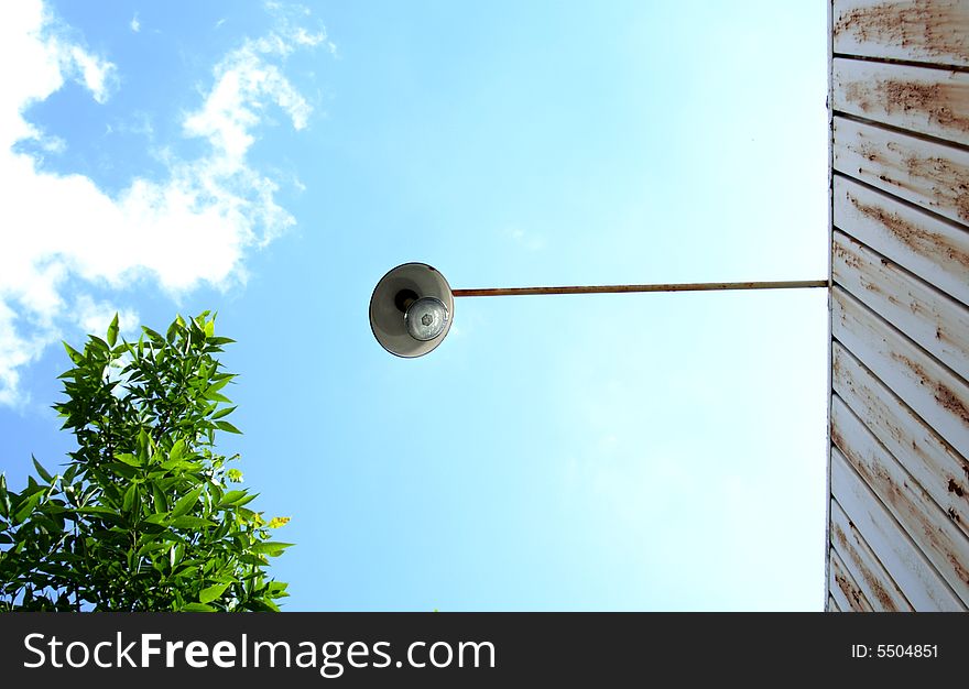 A light bulb hangs over a building's wooden wall. A tree branch adds color to the image. A light bulb hangs over a building's wooden wall. A tree branch adds color to the image.