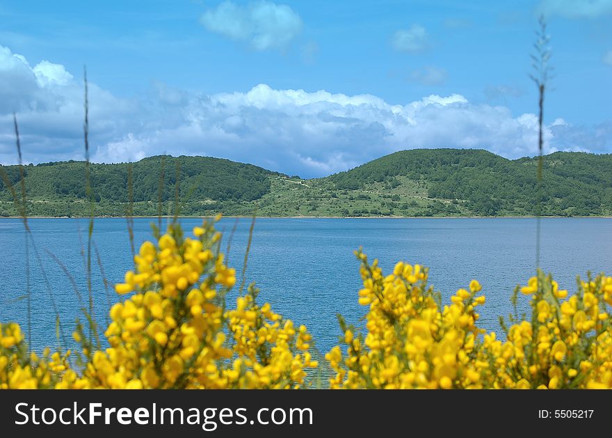 Some Yellow flowers and a natural view over a lake in the mountain. Some Yellow flowers and a natural view over a lake in the mountain.