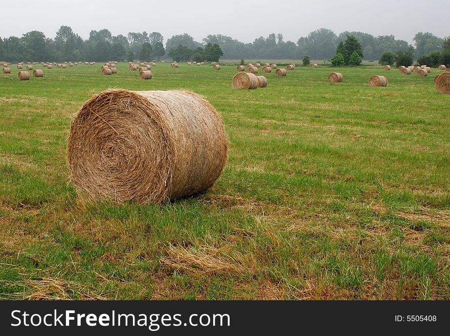 Agricultural field with haystacks after harvest. Agricultural field with haystacks after harvest.