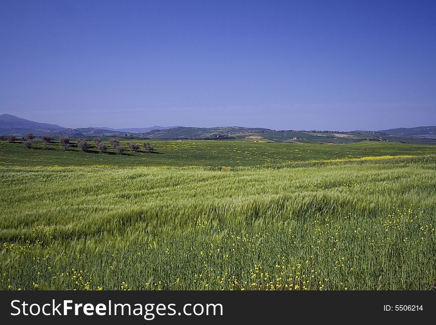 Characteristic view of the tuscan hills. Characteristic view of the tuscan hills