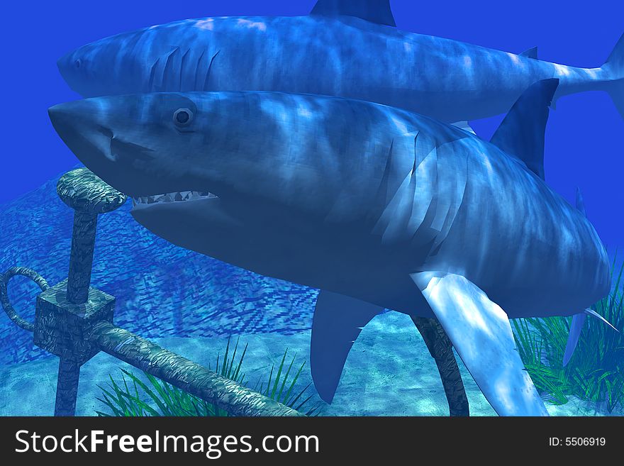 Illustration of two sharks in the Caribbean waters