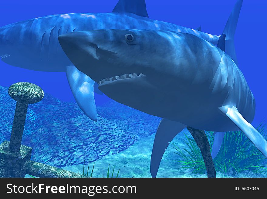 Illustration of two sharks in the Caribbean waters