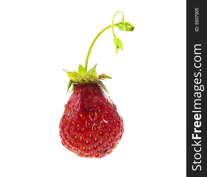 Ripe strawberry isolated on the white background