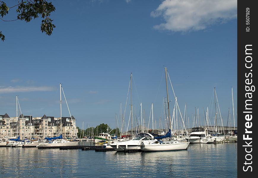 A group of sail boats are docked by the shore of a lake. A group of sail boats are docked by the shore of a lake.