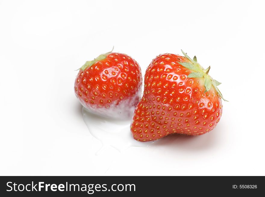 Red strawberries isolated on white dipped in yoghurt
