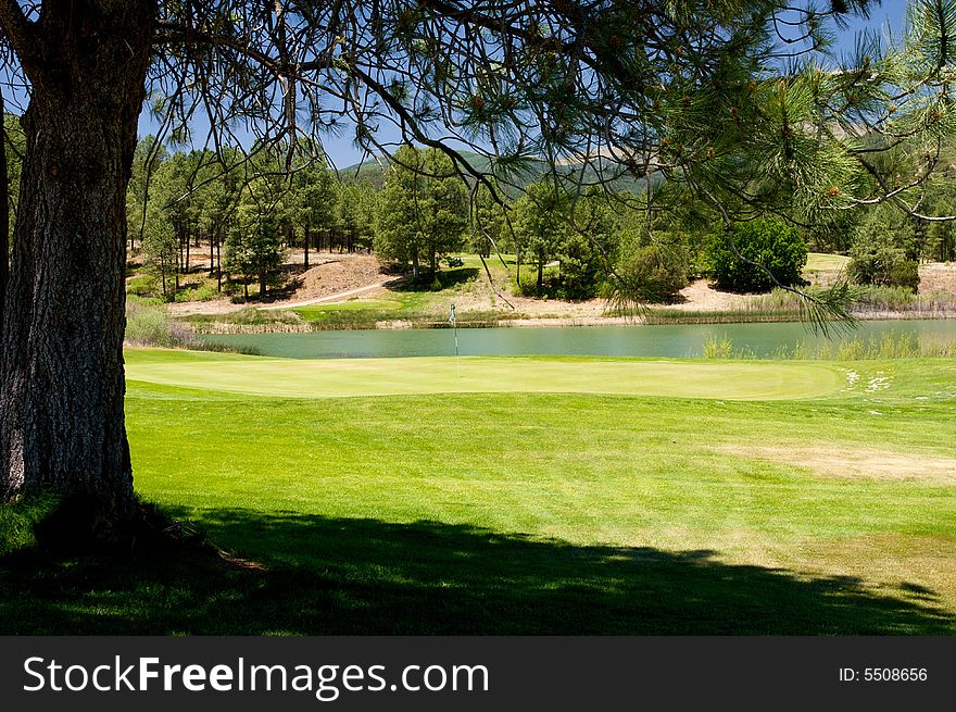 An image of a large tree's outline in front of a lush golf course. An image of a large tree's outline in front of a lush golf course