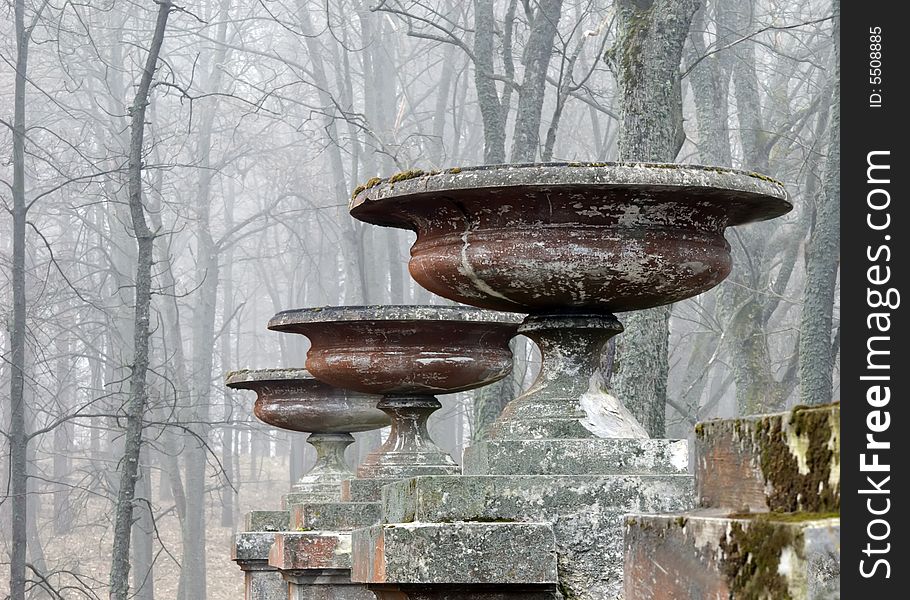 Morning Fog In A Wood.