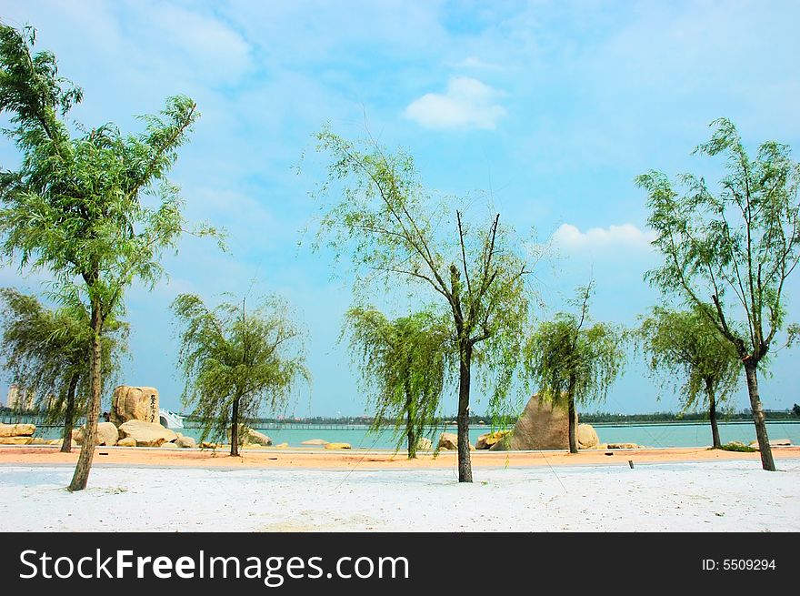 The cloud , trees and the lake of a park china. The cloud , trees and the lake of a park china.