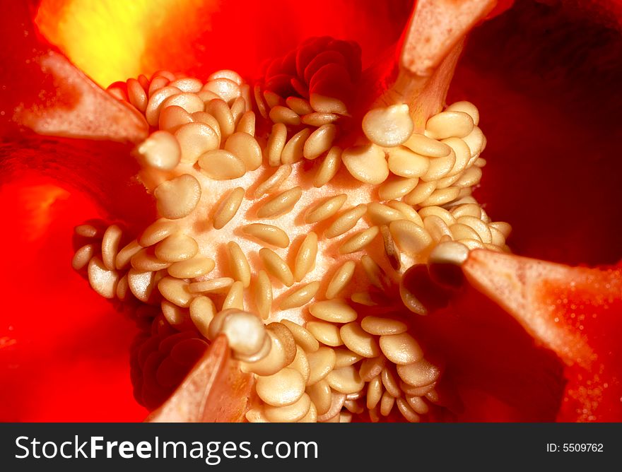 Red sweet bulgarian pepper inside