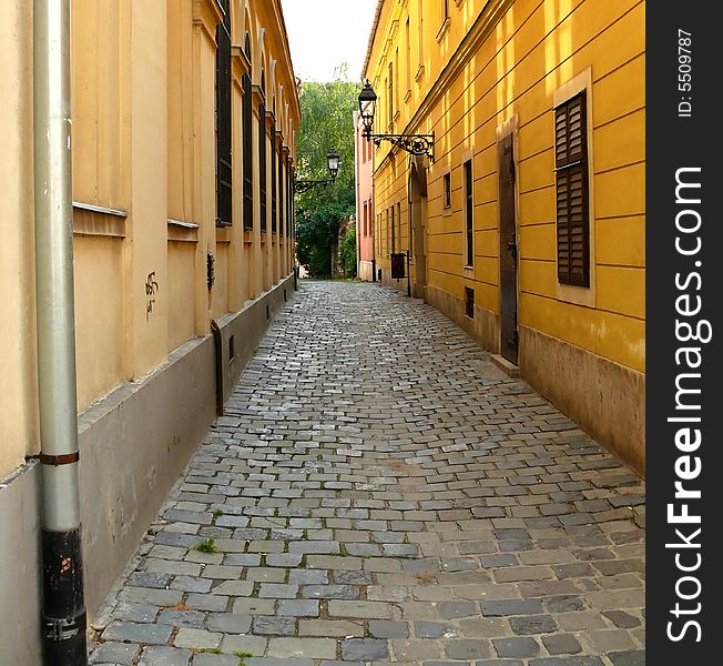 A cobblestone narrow street in Budapest Hungary with wrought iron old style street lamp. Tree in the back