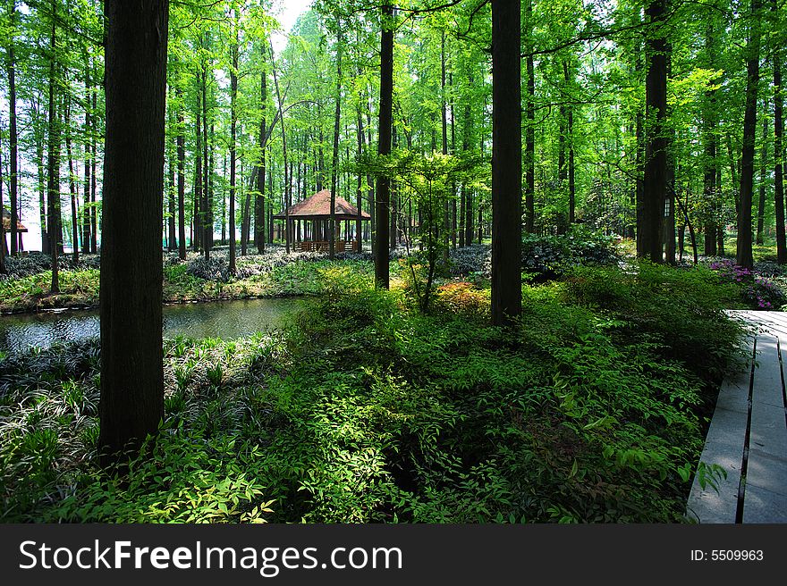 Pavilion in the forest in a garden of Hangzhou, China