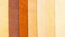 Leather 1 Stock Photography