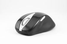 Mouse Against Blank Royalty Free Stock Image Mouse Against Blank Royalty Free Stock Image