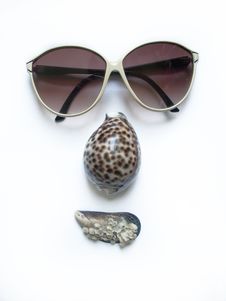 Face. Solar Glasses And Seashells Royalty Free Stock Photography