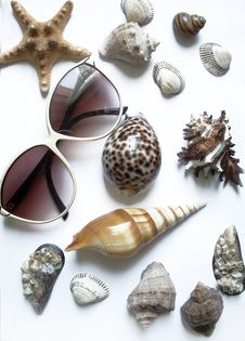 Solar Glasses And Different Seashells Stock Image Solar Glasses And Different Seashells Stock Image