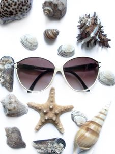 Solar Glasses And Different Seashells Stock Photos Solar Glasses And Different Seashells Stock Photos