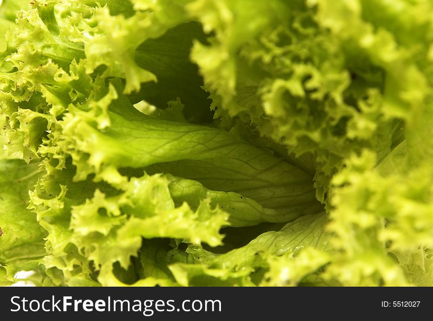 Green vegetables (lettuce) for a salad. Green vegetables (lettuce) for a salad