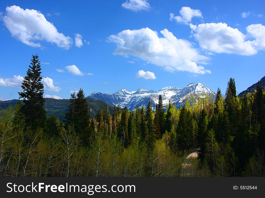 Rocky Mountains in the spring showing trees and snow capped mountains. Rocky Mountains in the spring showing trees and snow capped mountains