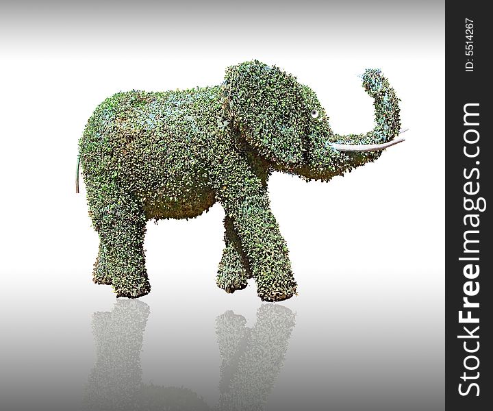 Blossoming bush in the form of the elephant