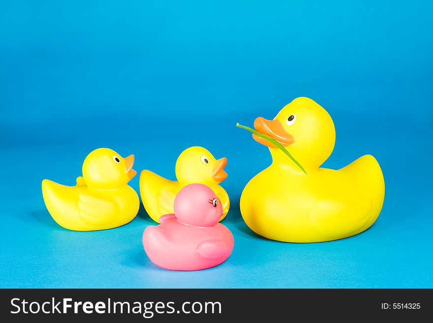 Four rubber ducks on blue background