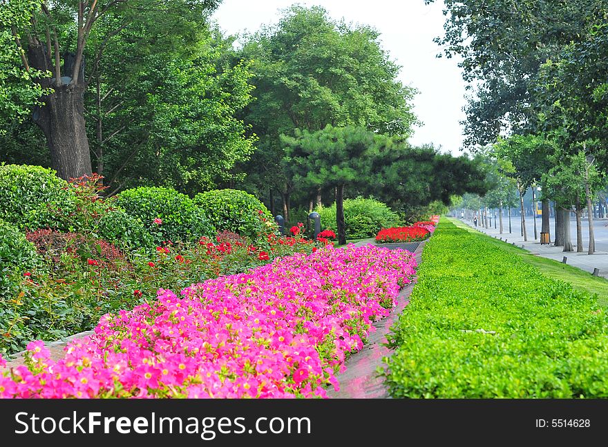 Flower road, green avenue garden