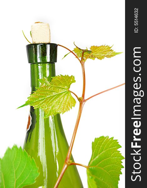 Wine bottle with young grape vine branch on white