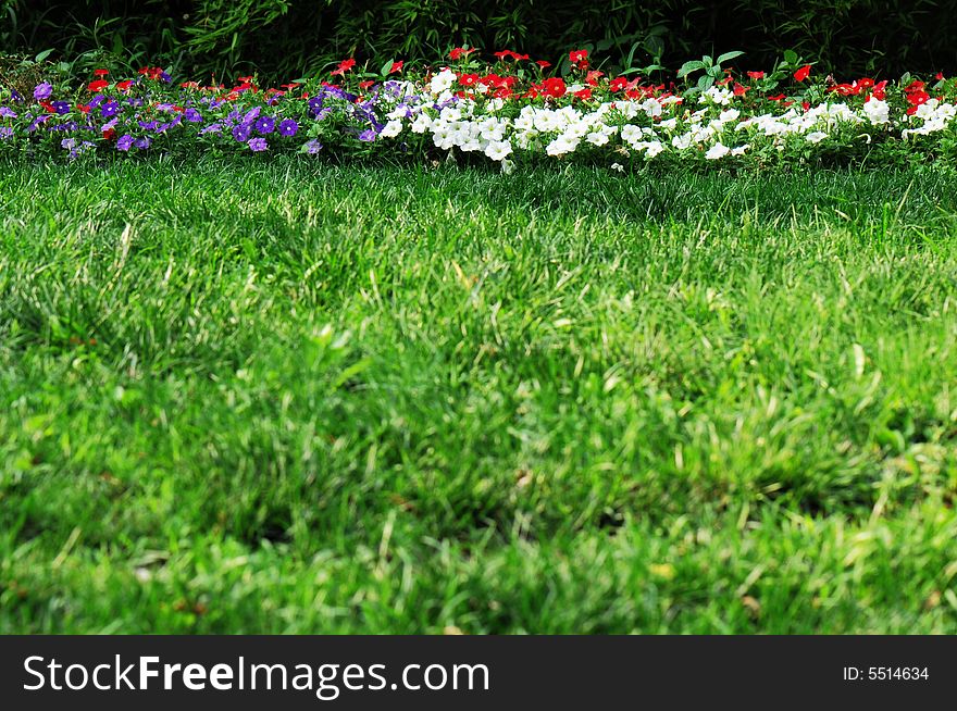 Gardern Flowers And Grass