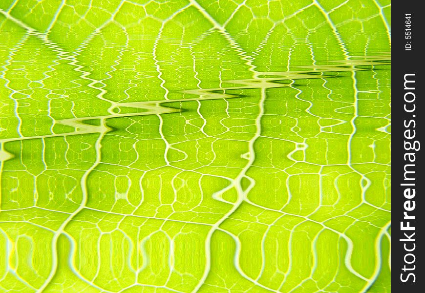 Green Leaf Macro Vains Bright