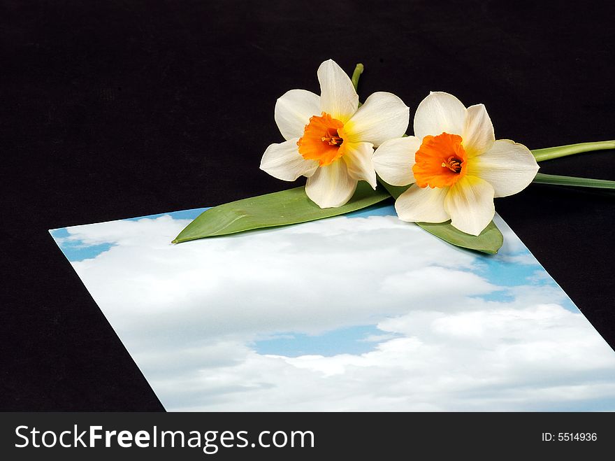 Sky letter background with flowers - sky piece of paper laying on black backround - place for additional text or logo. Sky letter background with flowers - sky piece of paper laying on black backround - place for additional text or logo