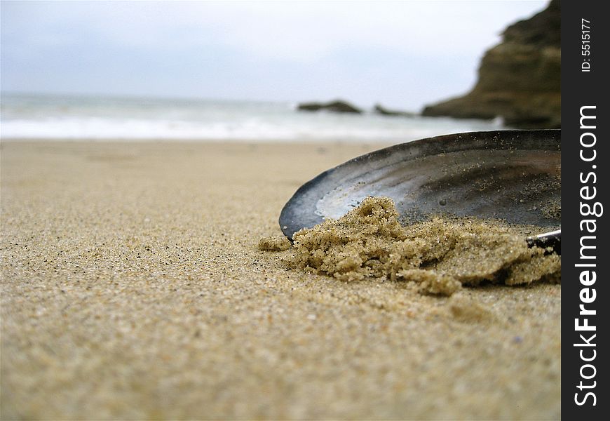 A mussel shell surrounded by sand, overlooking the ocean. A mussel shell surrounded by sand, overlooking the ocean