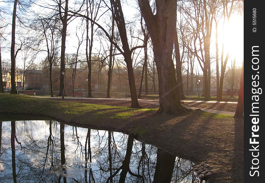 Sunlight coming through the trees and they are reflected on a small pond. Sunlight coming through the trees and they are reflected on a small pond