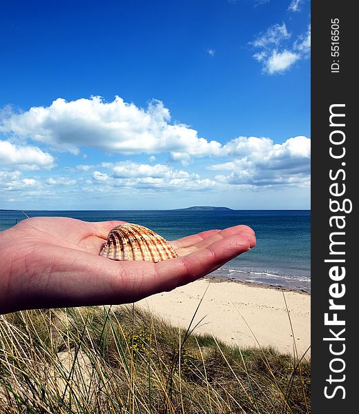 Shell at female hand on nature background. Shell at female hand on nature background