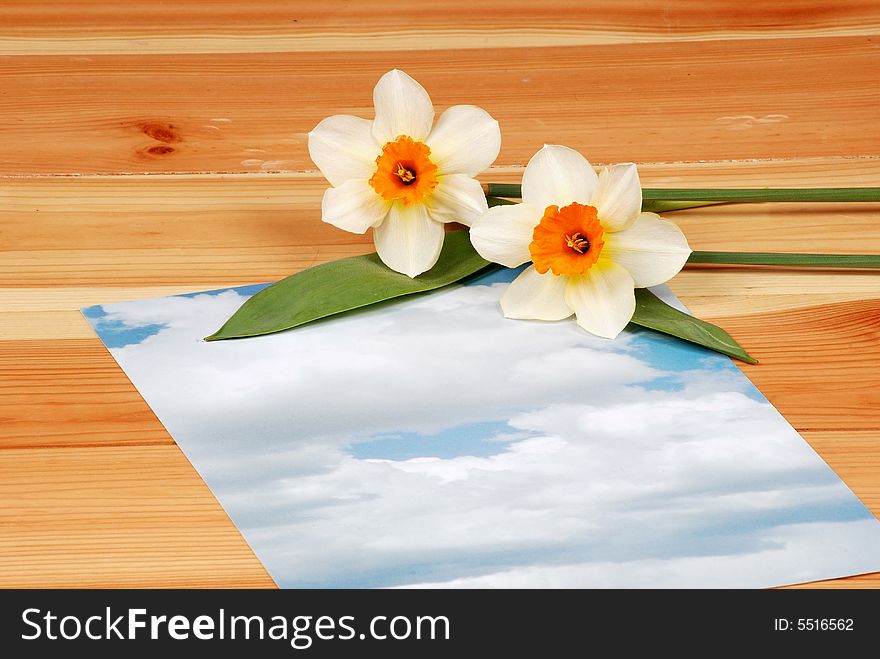 Love letter background with flowers - piece of paper laying on the table, place for additional text or logo. Love letter background with flowers - piece of paper laying on the table, place for additional text or logo